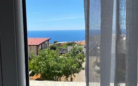 Apartments Wild Beauty - Krimovica