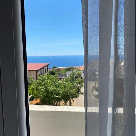Apartments Wild Beauty - Krimovica Budva Dış mekan fotoğraf