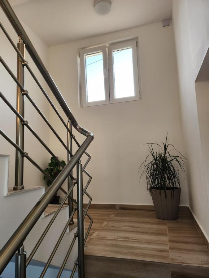 Apartments Wild Beauty - Krimovica Budva Dış mekan fotoğraf